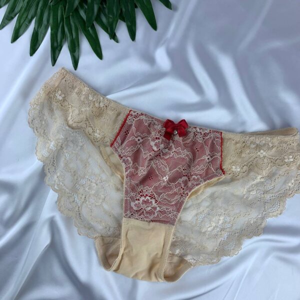 Lace lingerie panty from Acapella     Size (12)