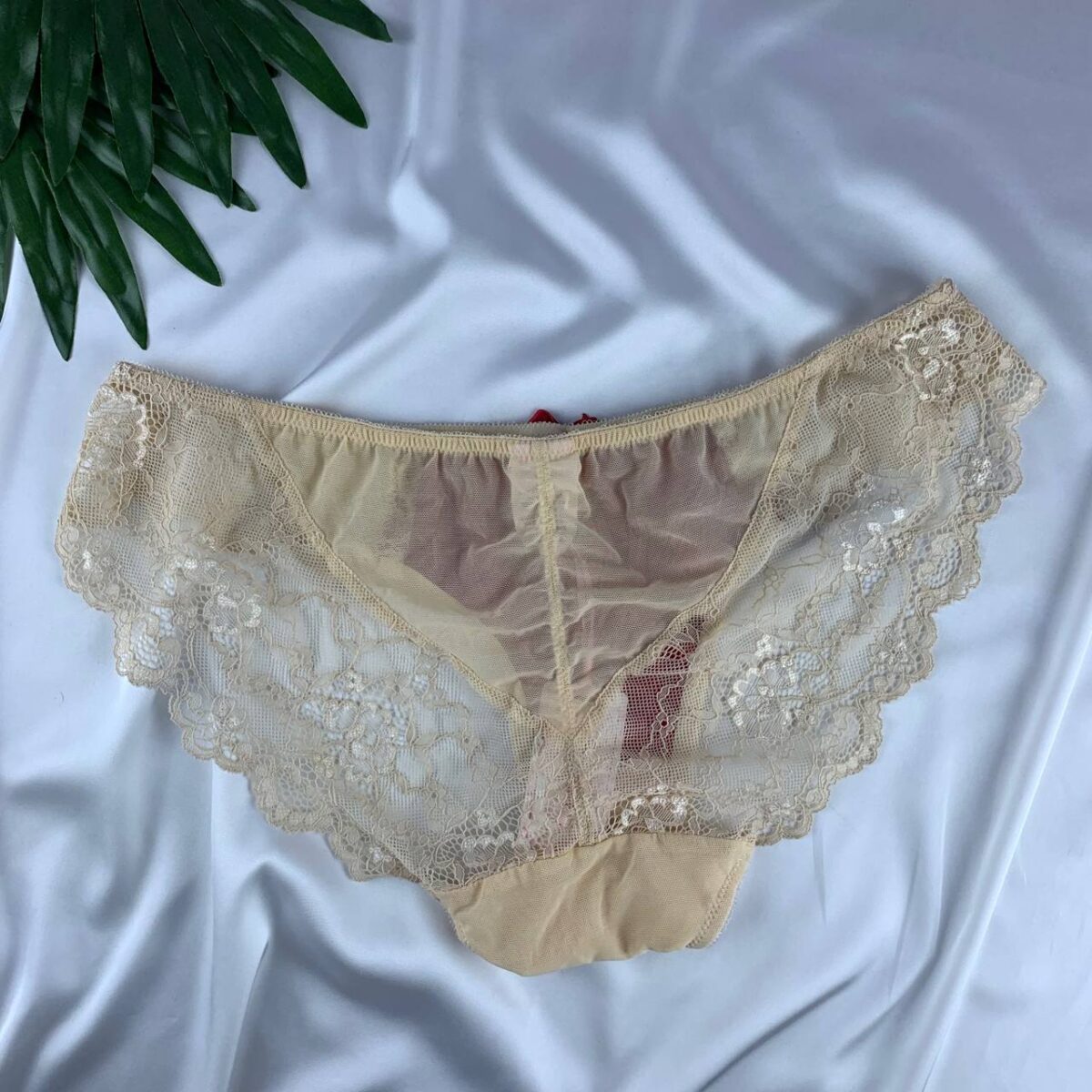Lace lingerie panty from Acapella     Size (12) - Image 4