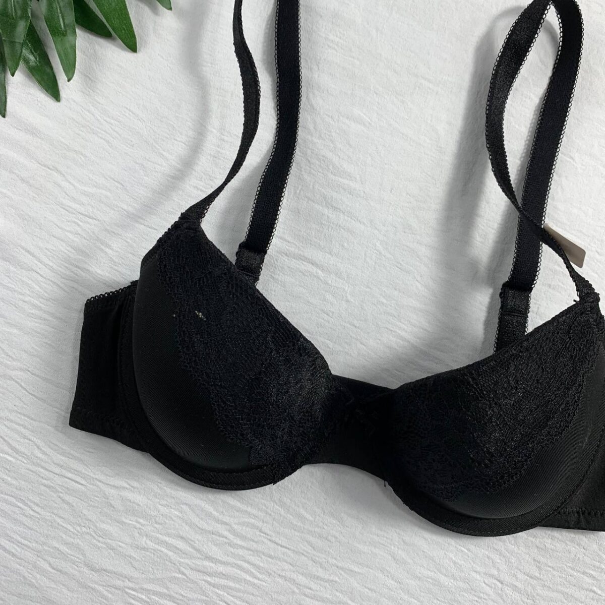 Wired padded bra From Splash - Image 3
