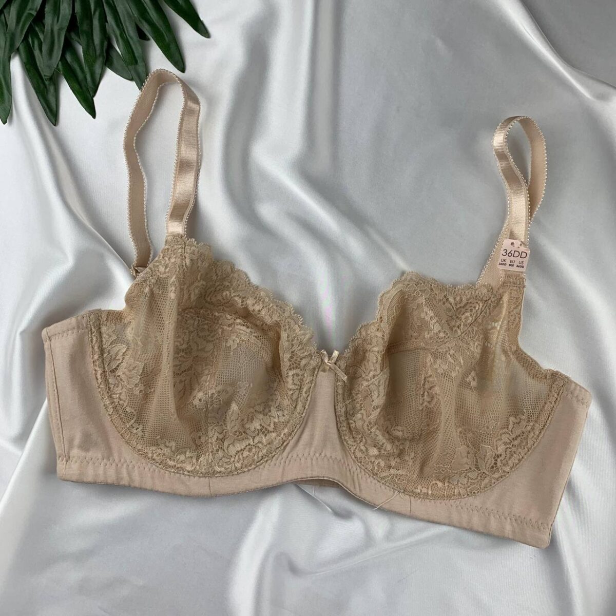 Wired minimizer bra from Splash - Image 1