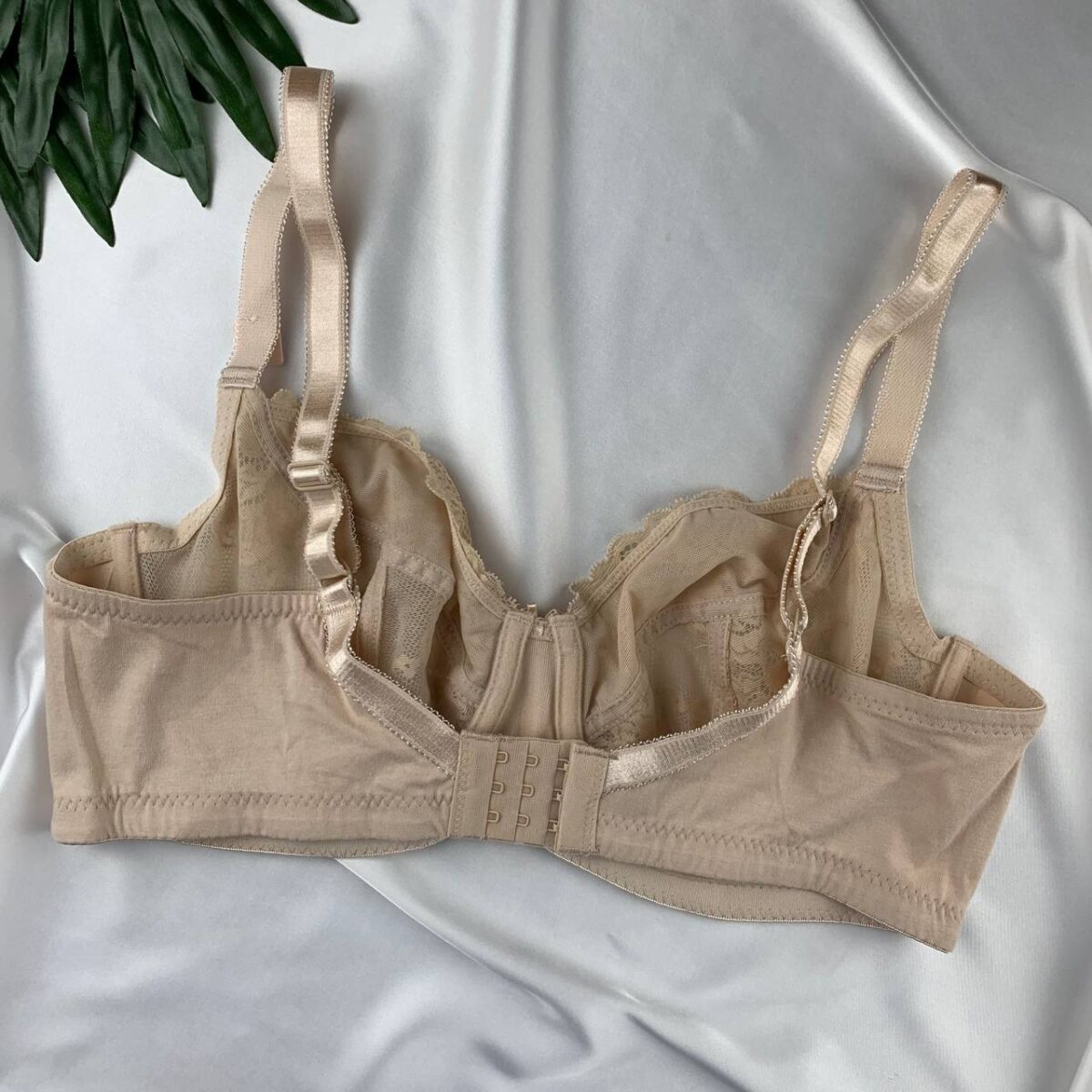 Wired minimizer bra from Splash - Image 5