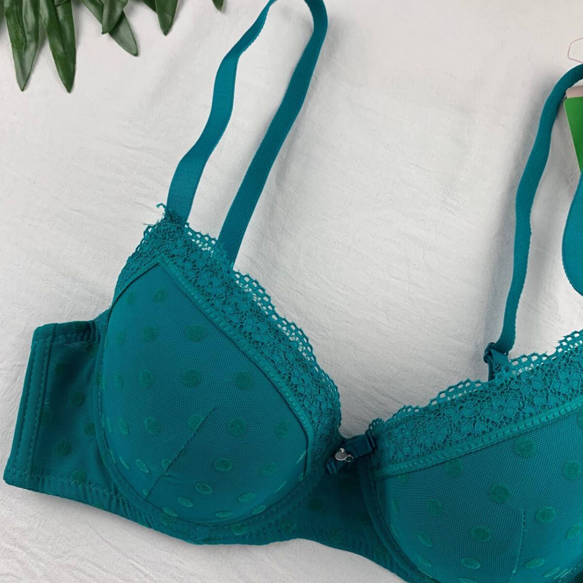 Wired padded bra from Splash - Image 2