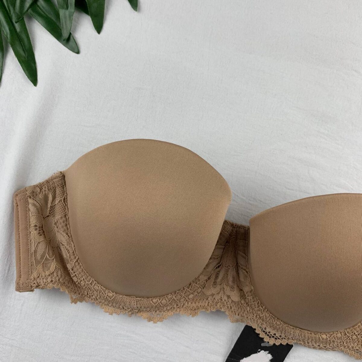 Wired padded bra From Debenhams - Image 2