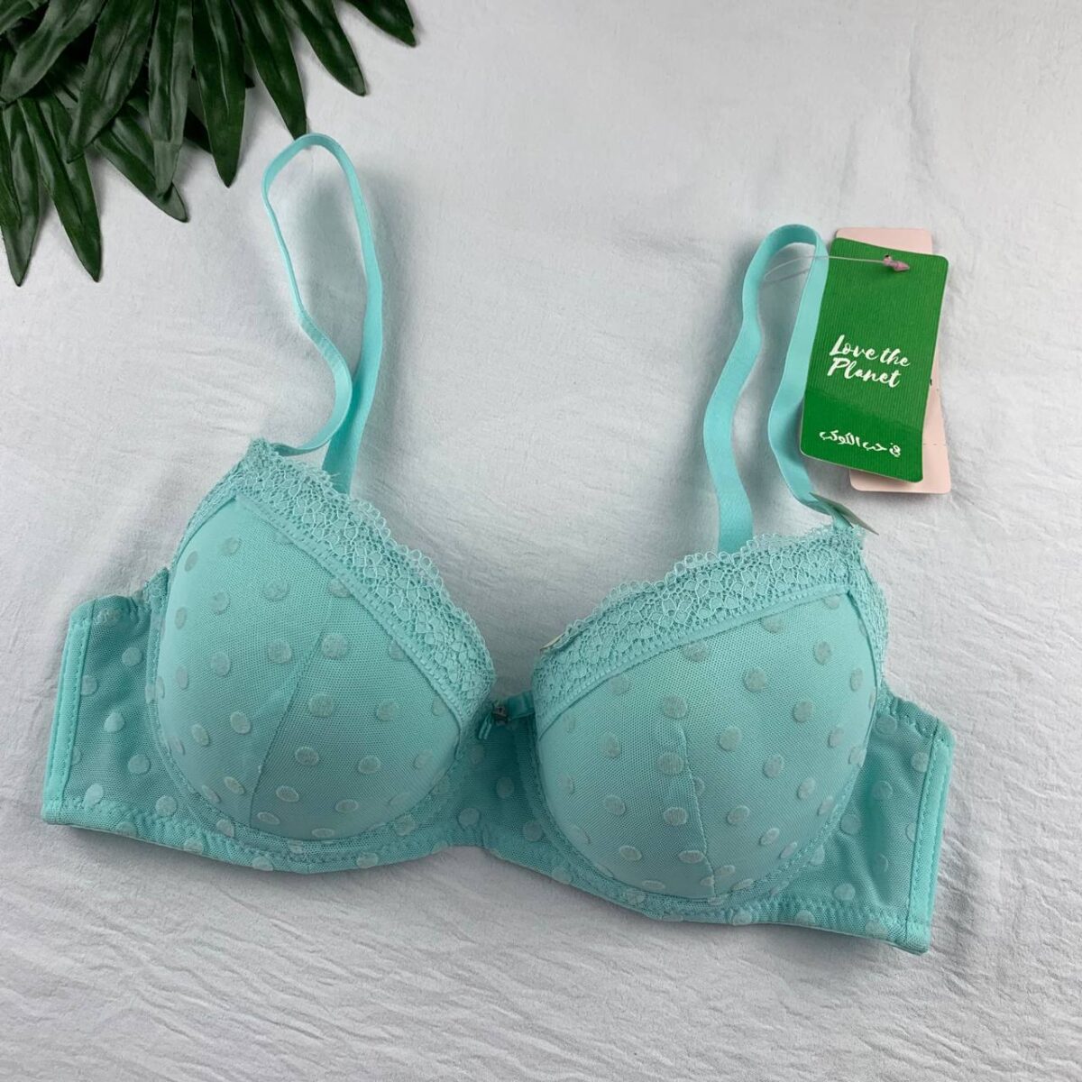 Wired padded bra from Splash - Image 1