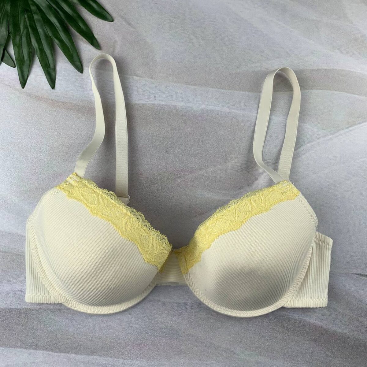 Wired padded bra From Splash - Image 1