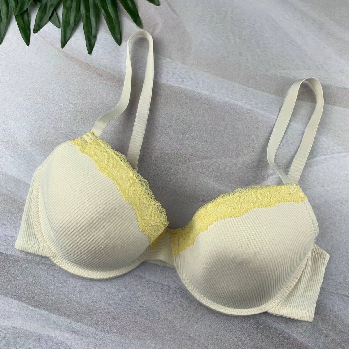 Wired padded bra From Splash - Image 2