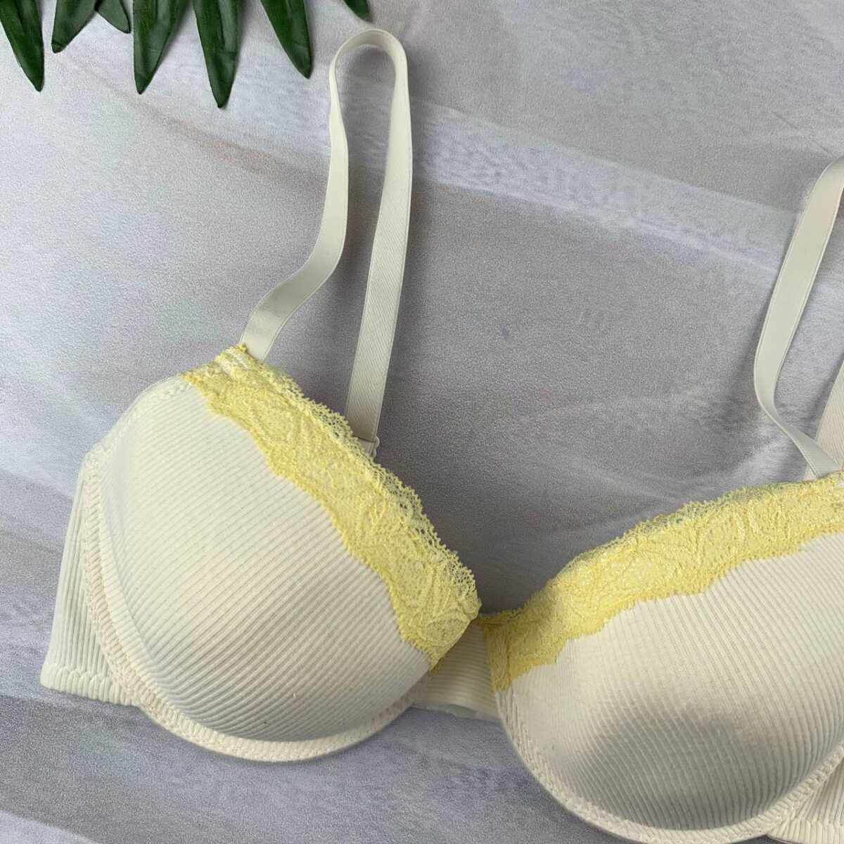 Wired padded bra From Splash - Image 3