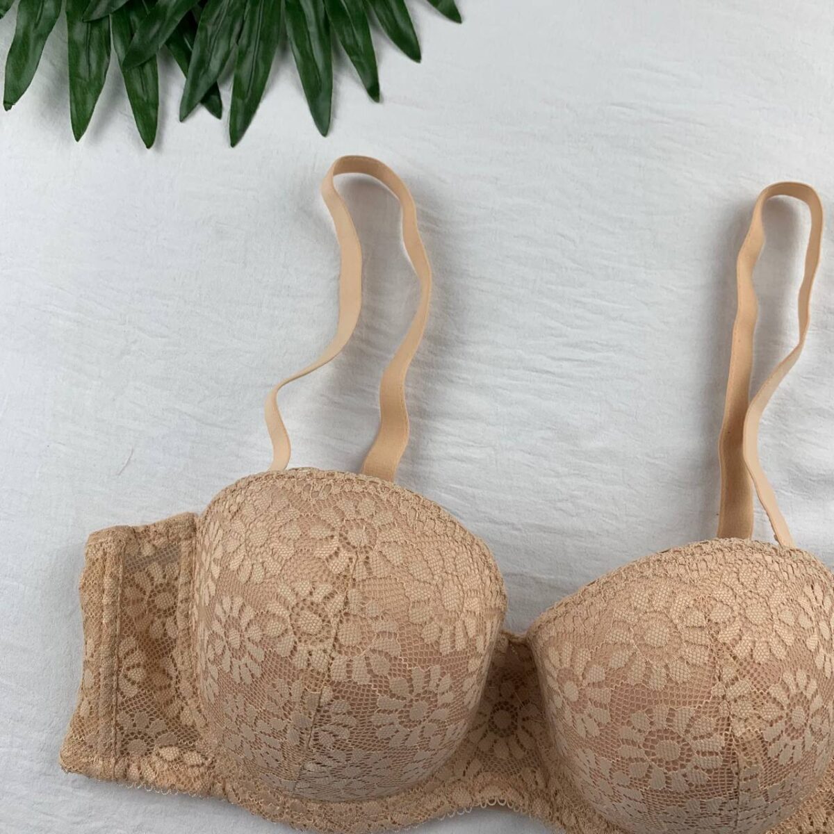 Wired padded bra from splash - Image 4