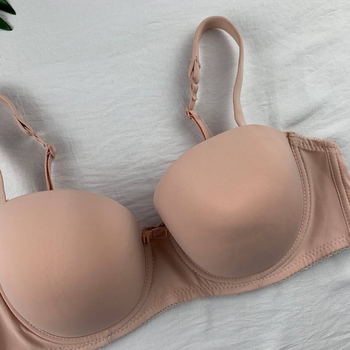 Wired padded bra from splash - Image 4