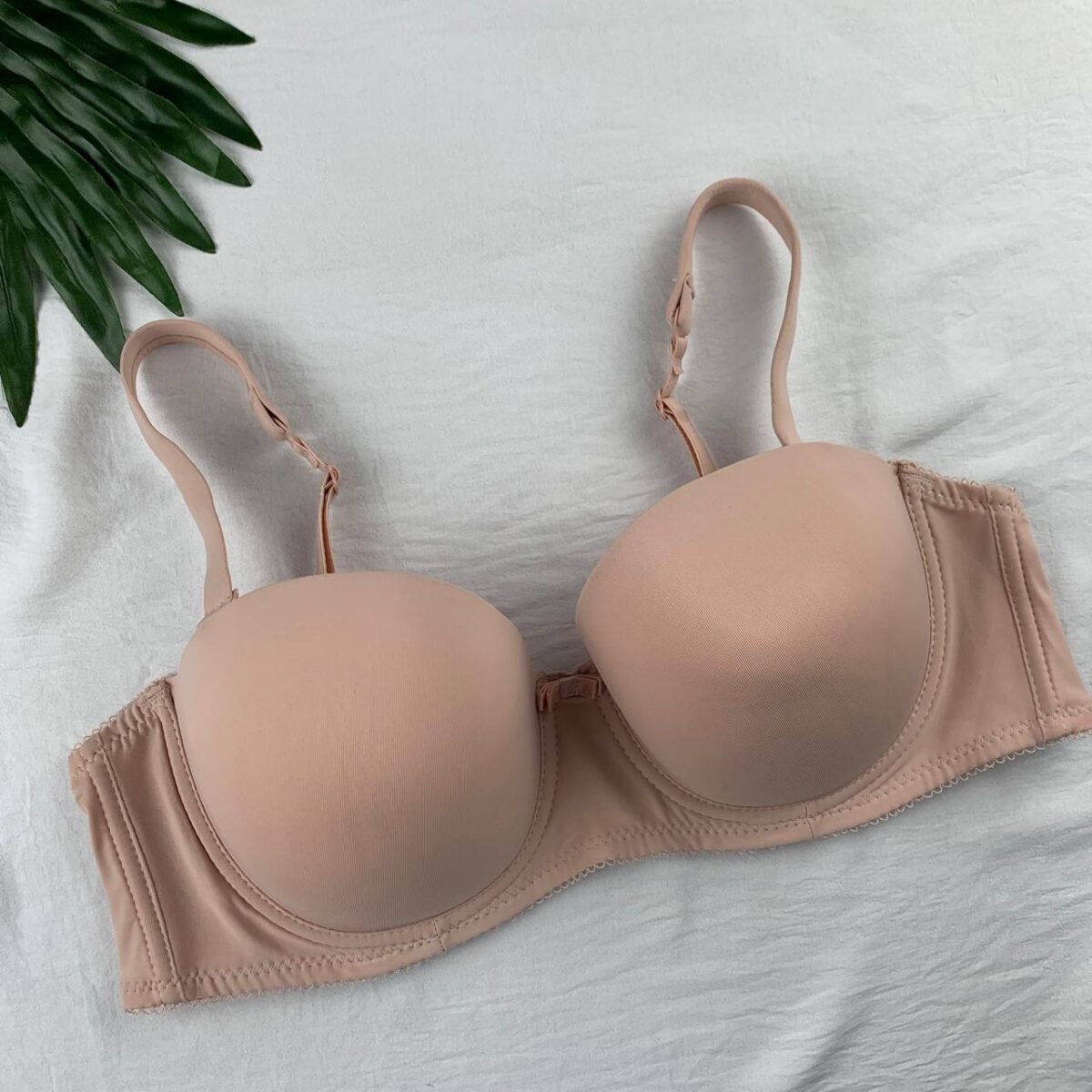 Wired padded bra from splash - Image 3