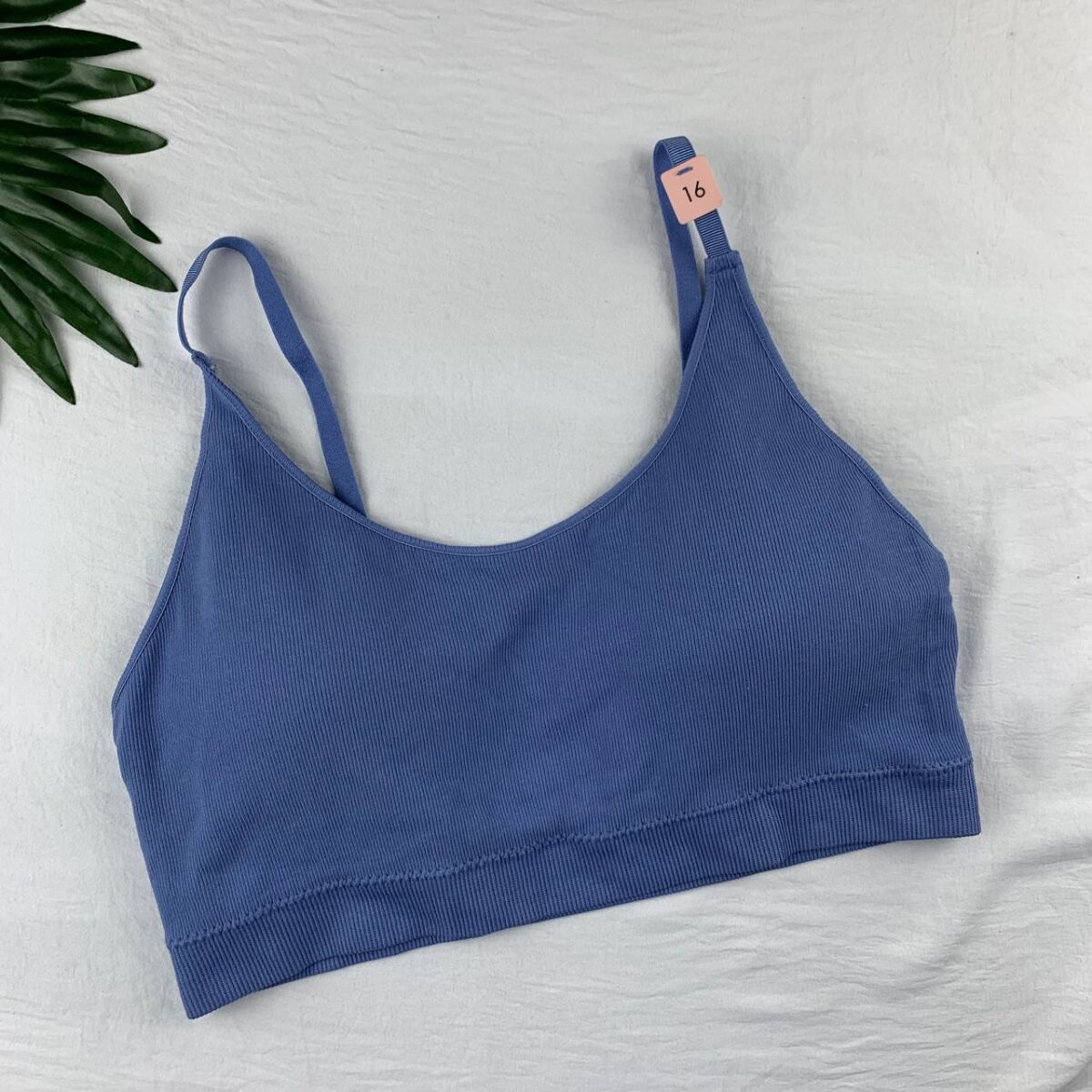 Unwired padded soft bra from splash - Image 2