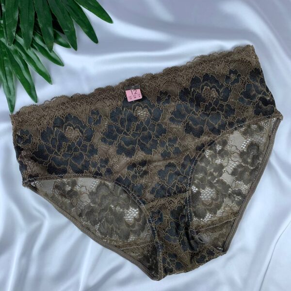 Lace lingerie panty from splash