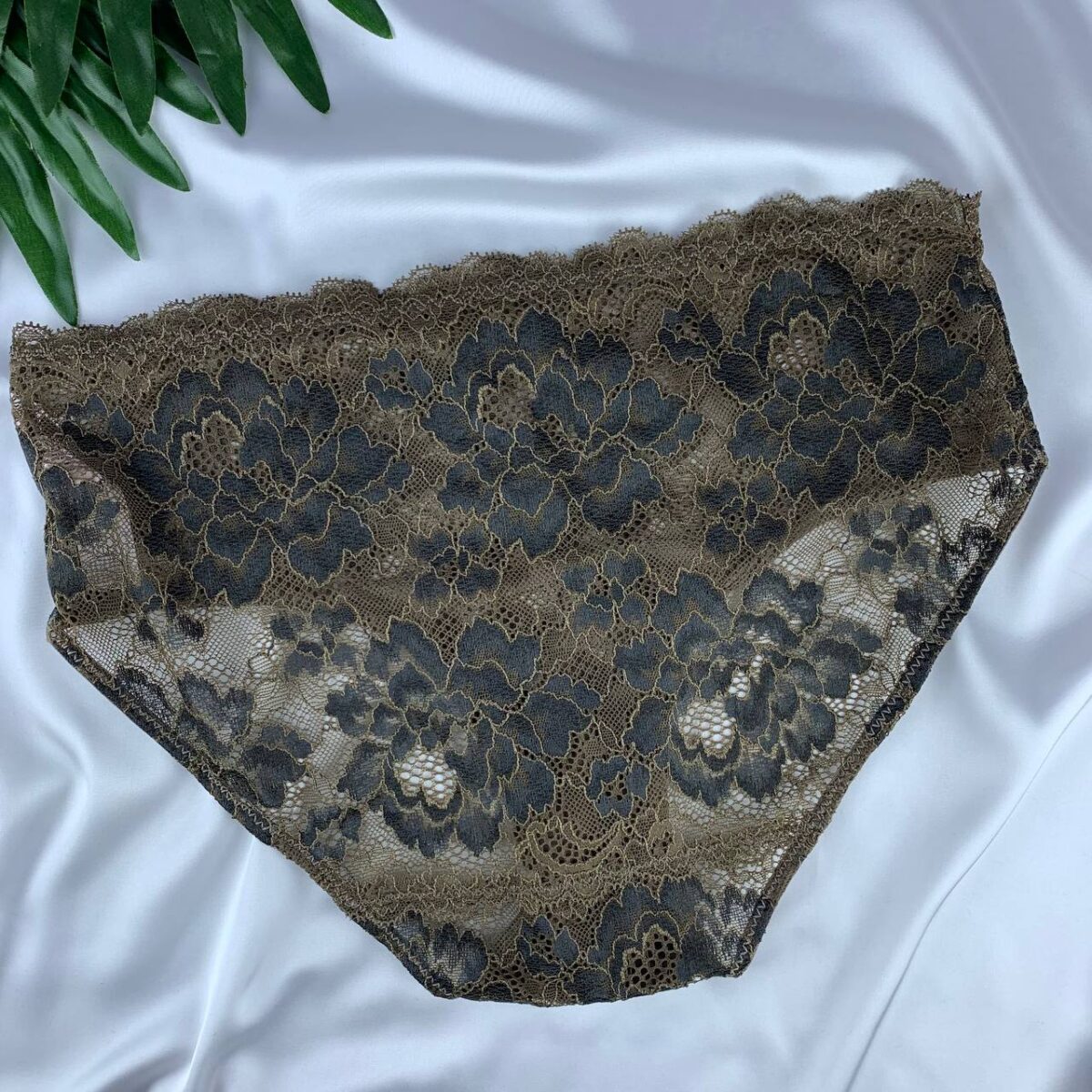 Lace lingerie panty from splash - Image 2