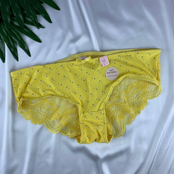 Lace lingerie panty from splash  Size (10)