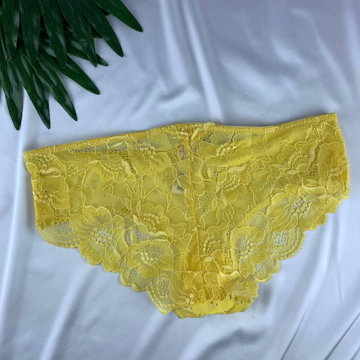 Lace lingerie panty from splash  Size (10) - Image 2