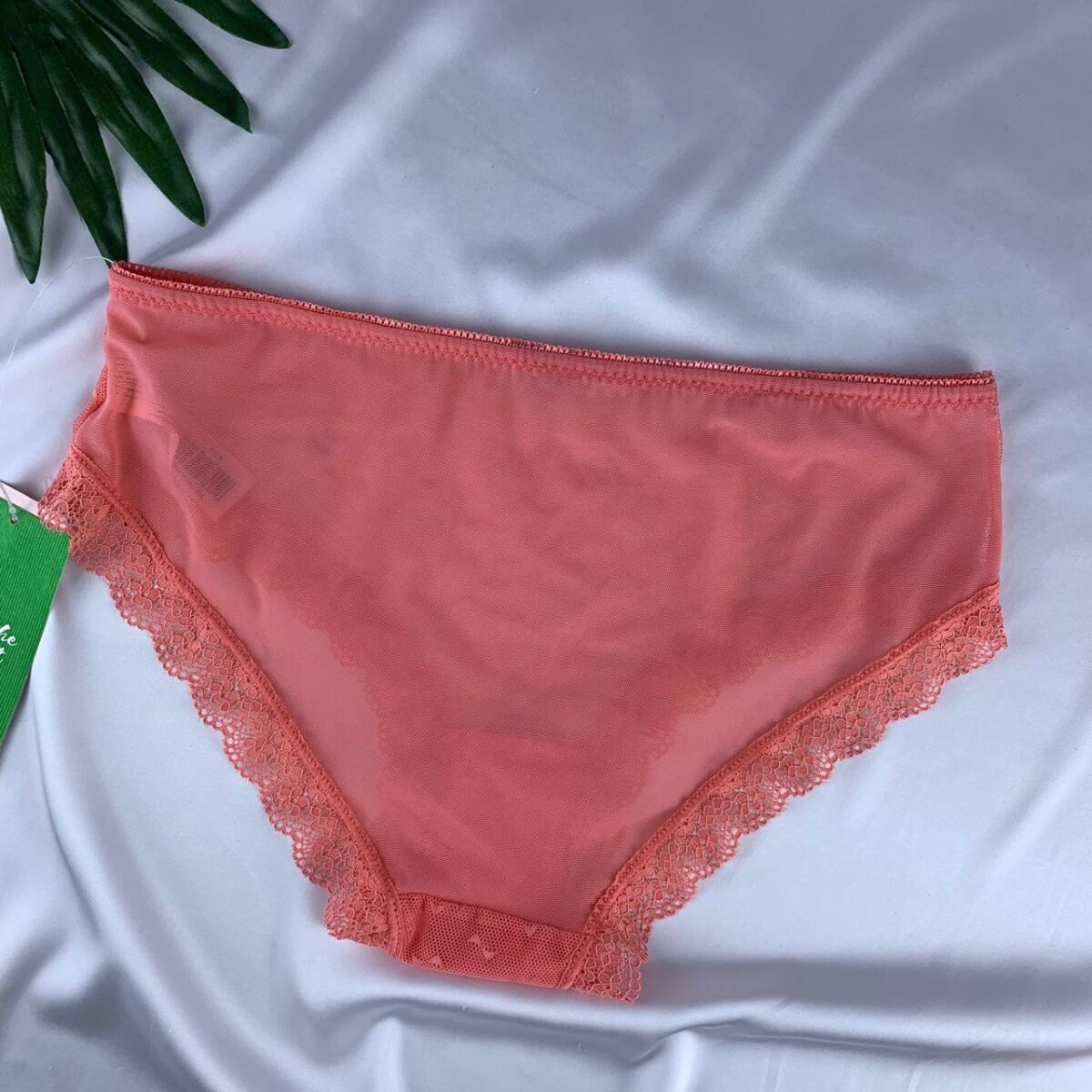 Polka dot lingerie panty from splash - Image 2
