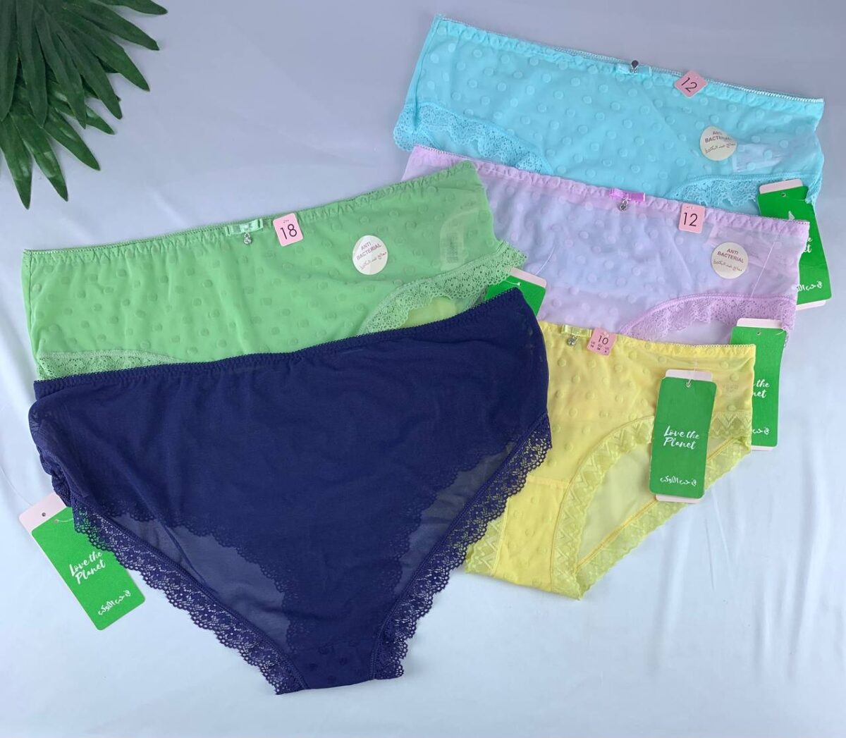 Polka dot lingerie panty from splash - Image 1