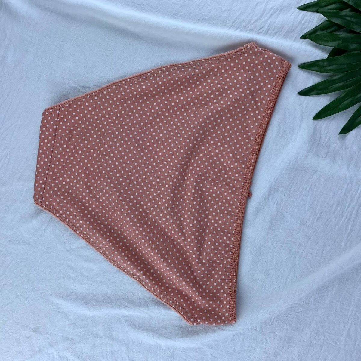 Cotton panty from splash  Size (12) - Image 2