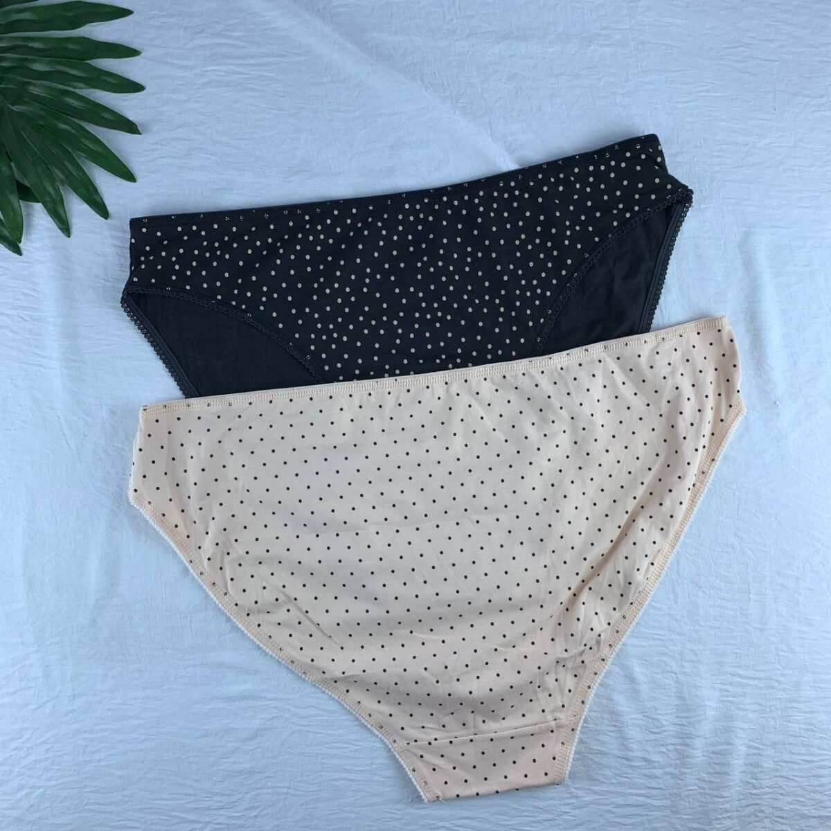 Cotton panty from splash - Image 2