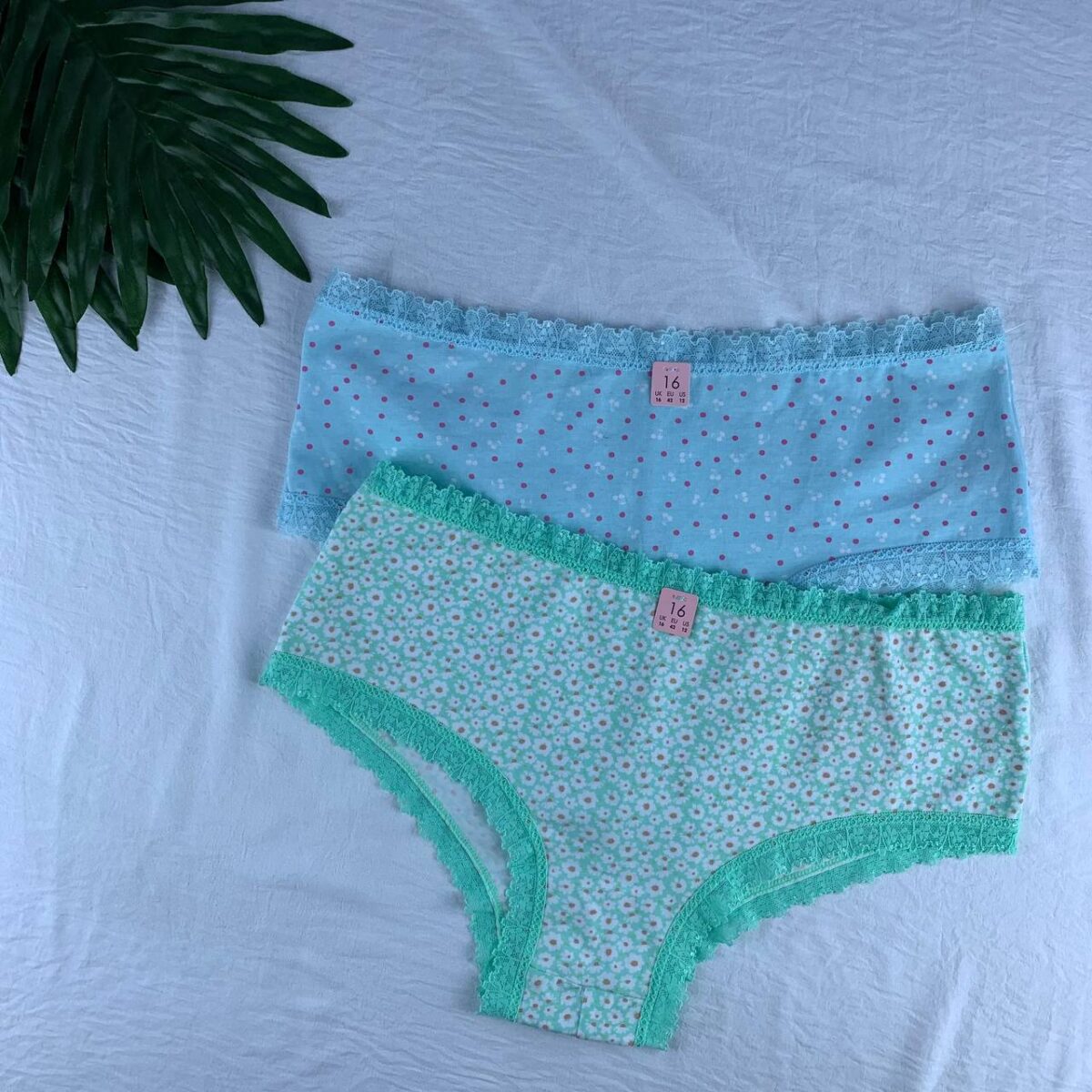 Cotton panty from splash Size (16) - Image 5