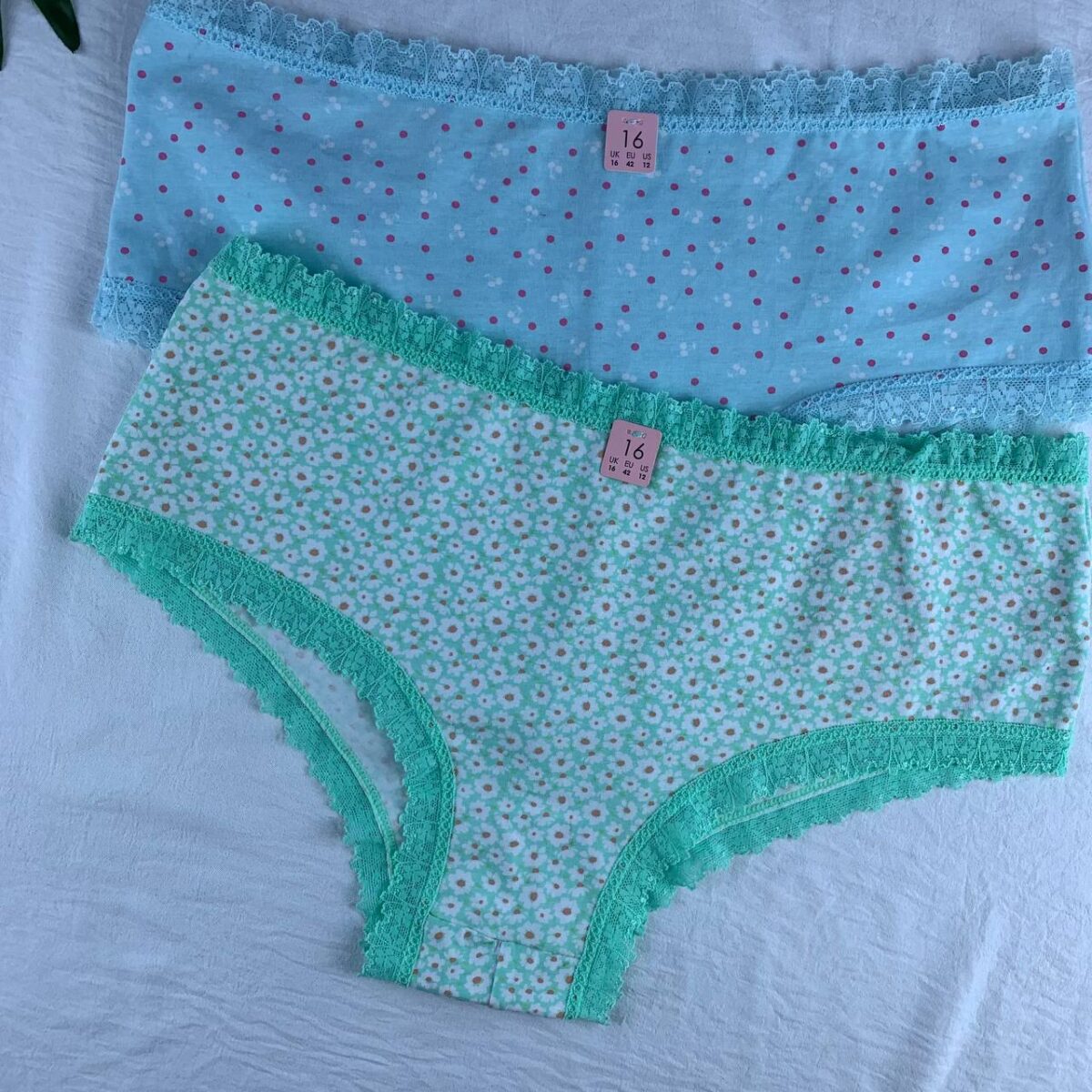 Cotton panty from splash Size (16) - Image 4