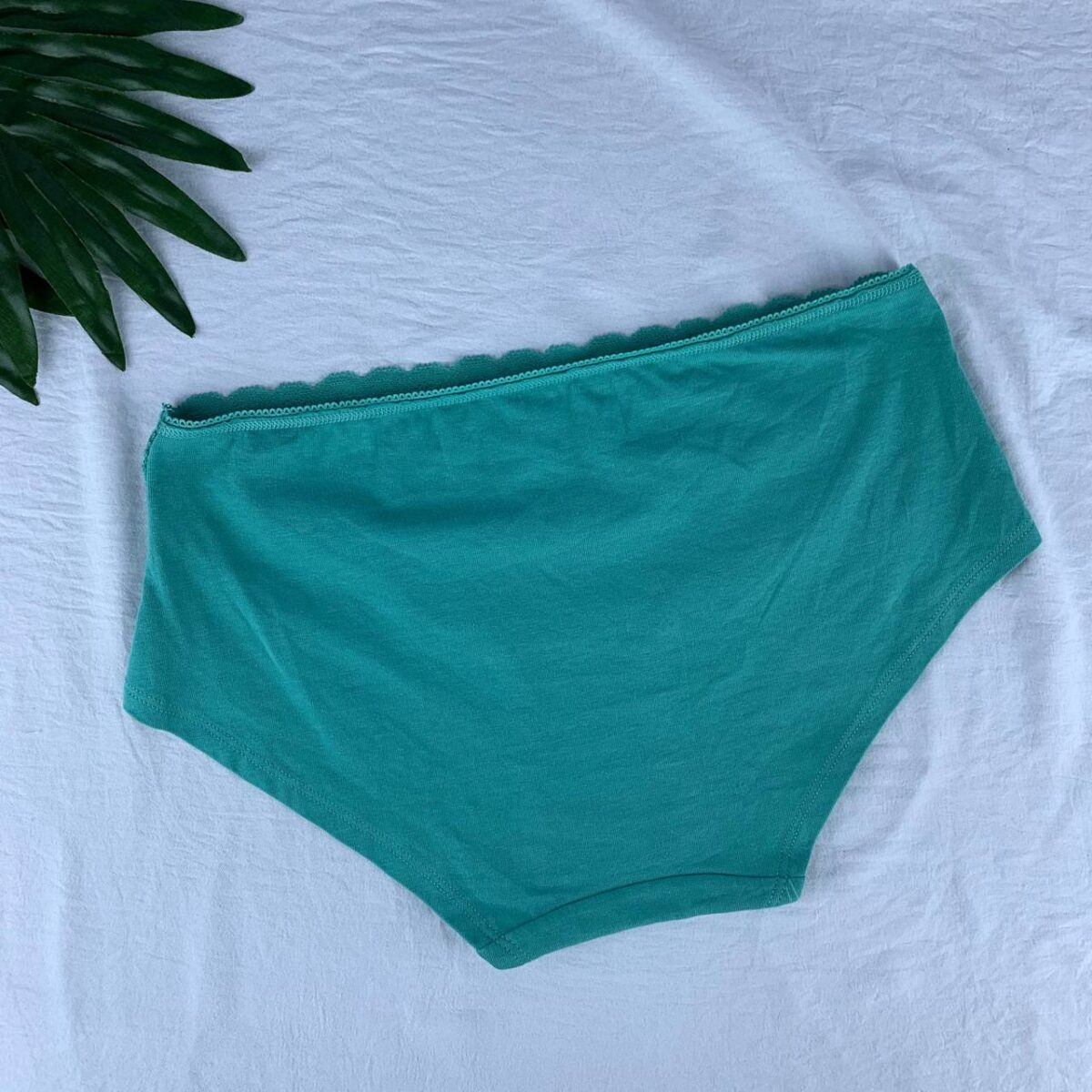 Cotton panty from Tu & splash - Image 4