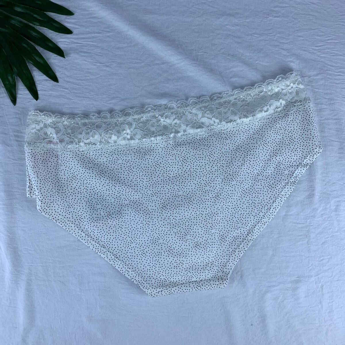 Cotton panty from splash - Image 5