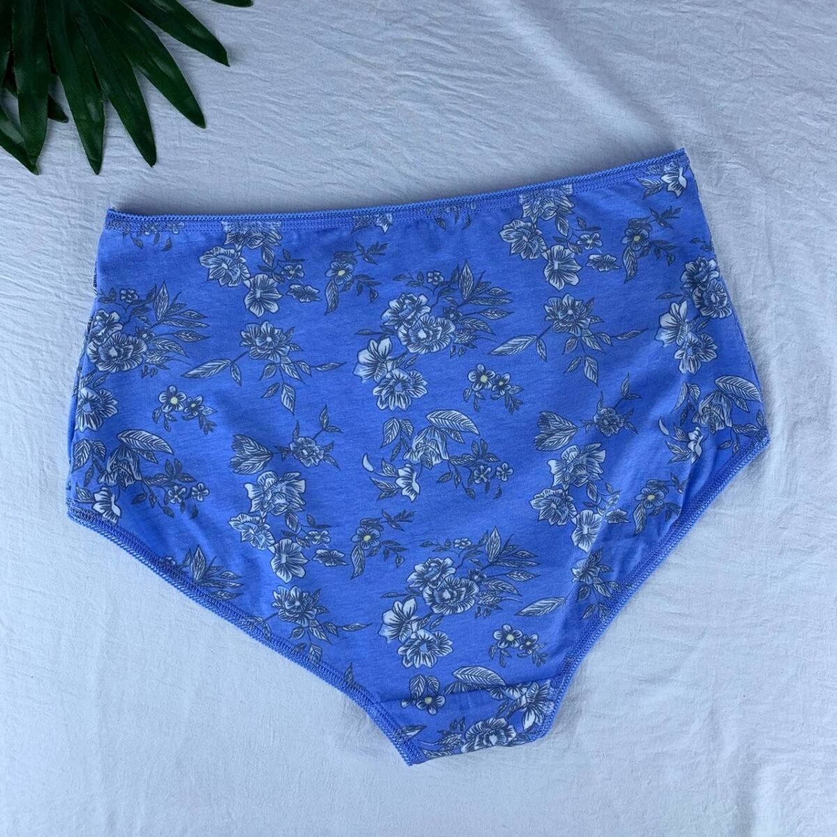Cotton panty from splash - Image 6