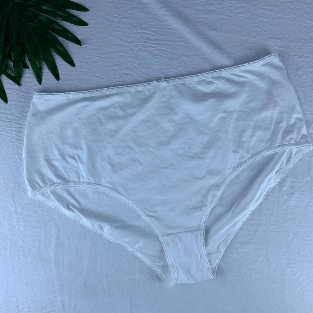 Cotton panty from splash - Image 3