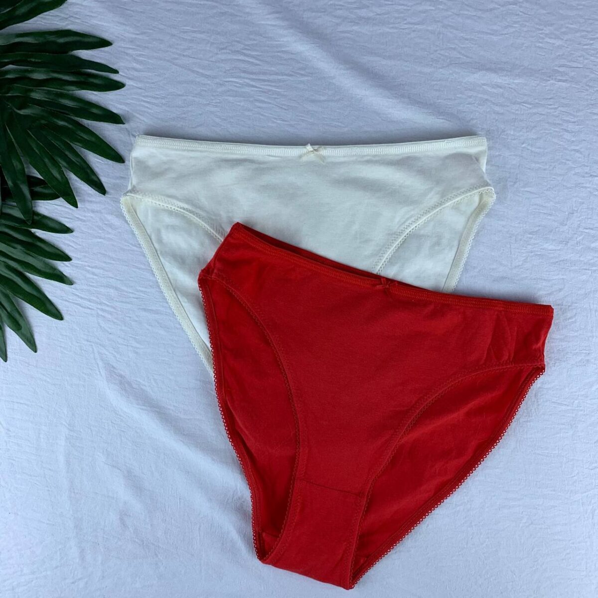 2 pack cotton panty set from splash  Size (14) - Image 1