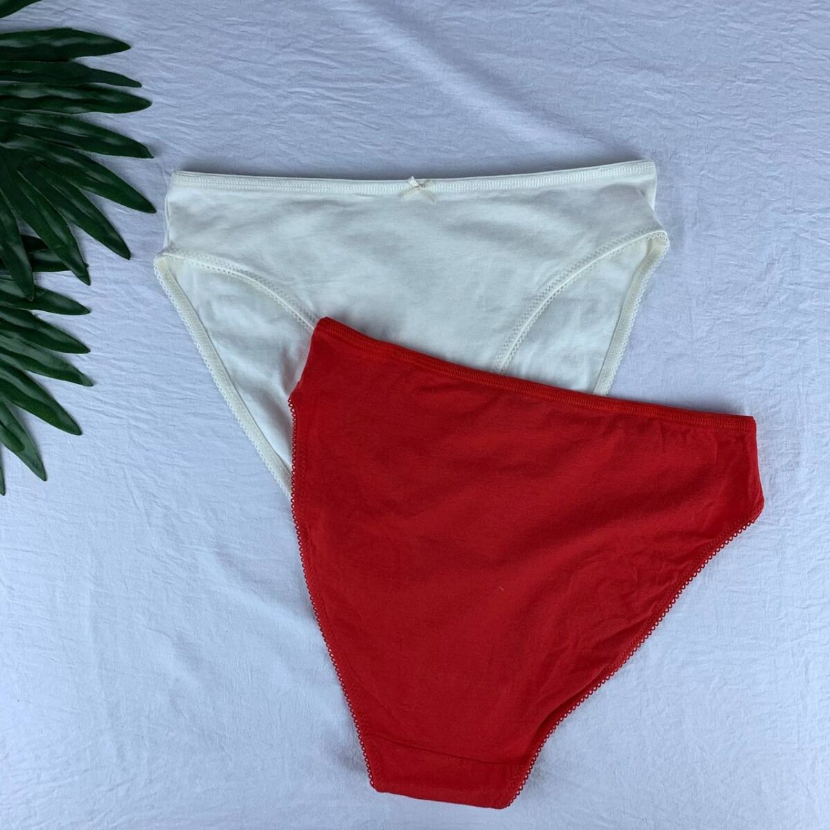 2 pack cotton panty set from splash  Size (14) - Image 2