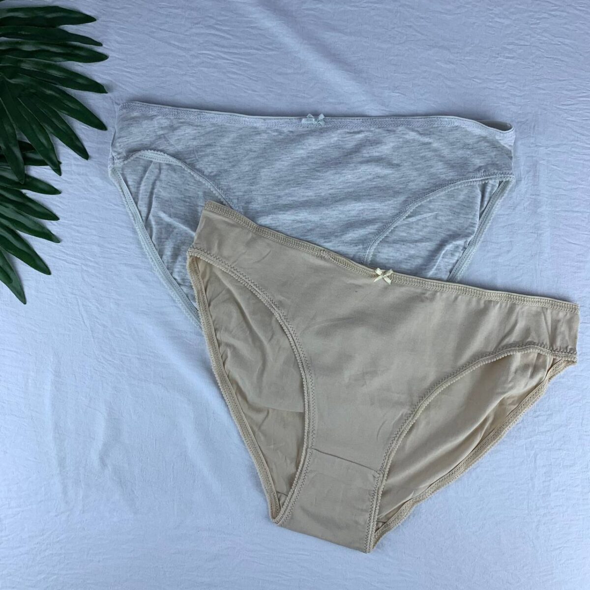 2 pack cotton panty set from splash  Size (16) - Image 1