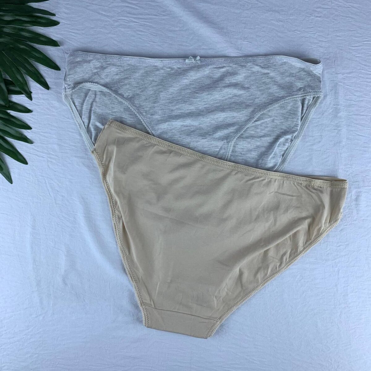 2 pack cotton panty set from splash  Size (16) - Image 2