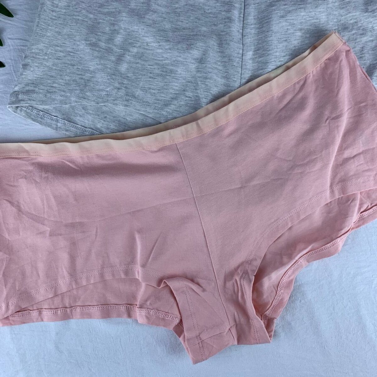 2 pack cotton panty set from splash  Size (20) - Image 4