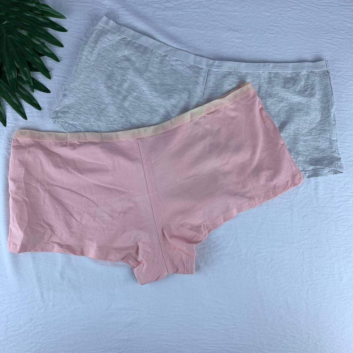 2 pack cotton panty set from splash  Size (20) - Image 2