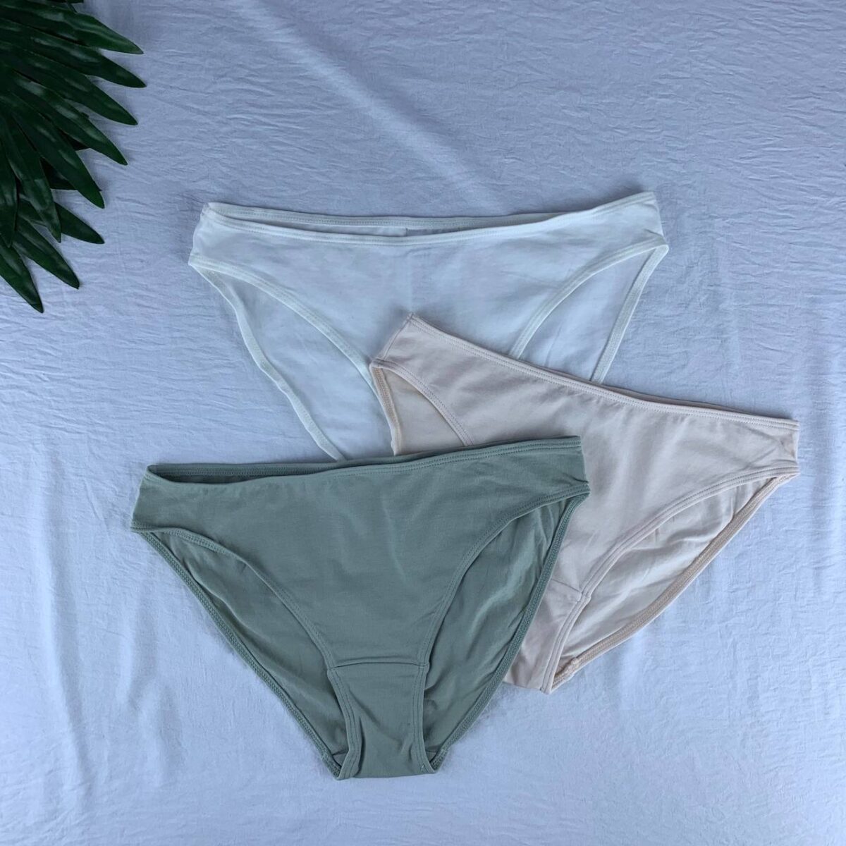 3 pack cotton panty set from H&M  Size (X-Small) - Image 5