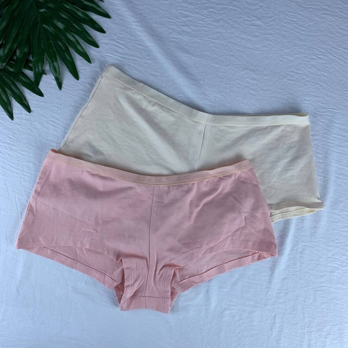 2 pack cotton panty set from splash  Size (14) - Image 5