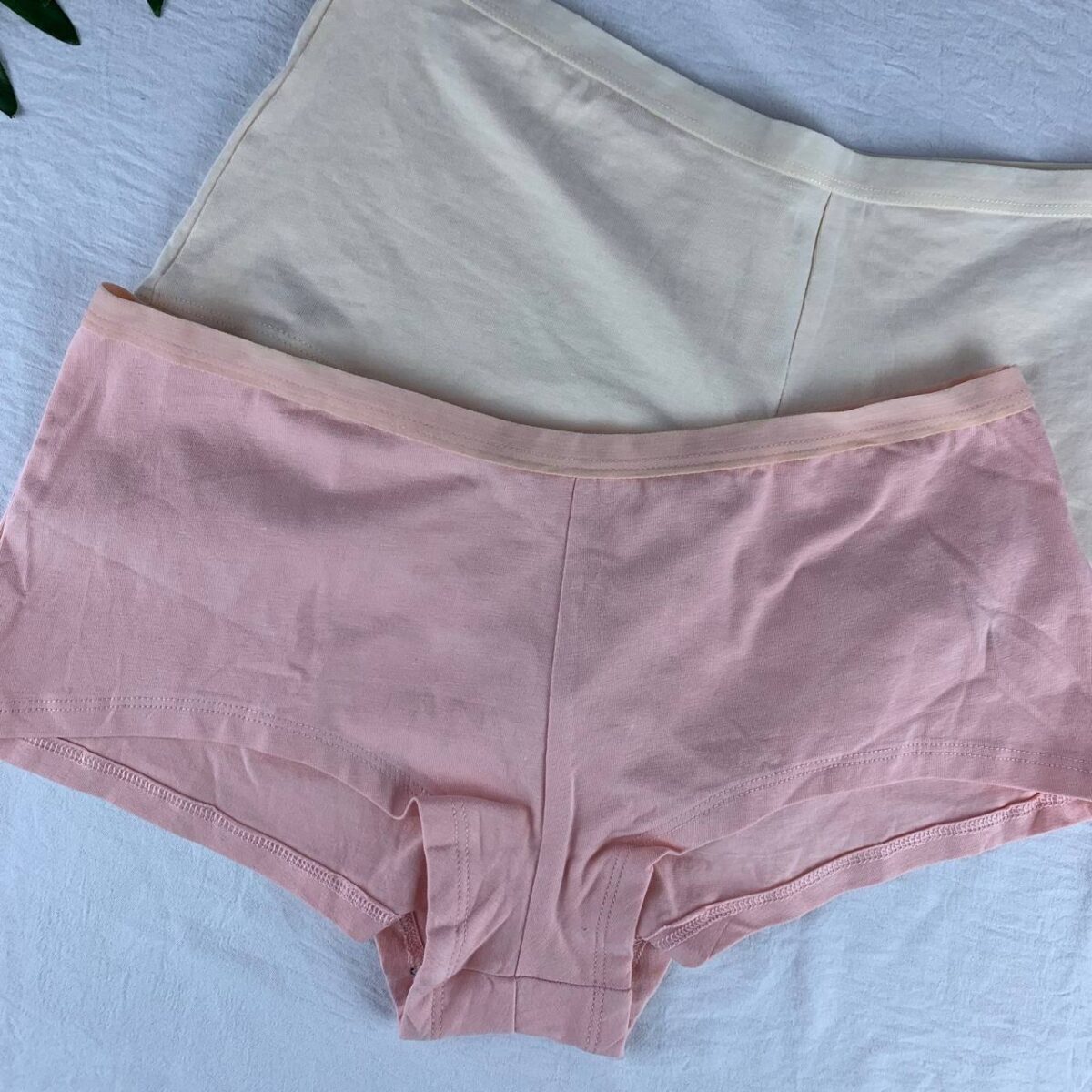 2 pack cotton panty set from splash  Size (14) - Image 3