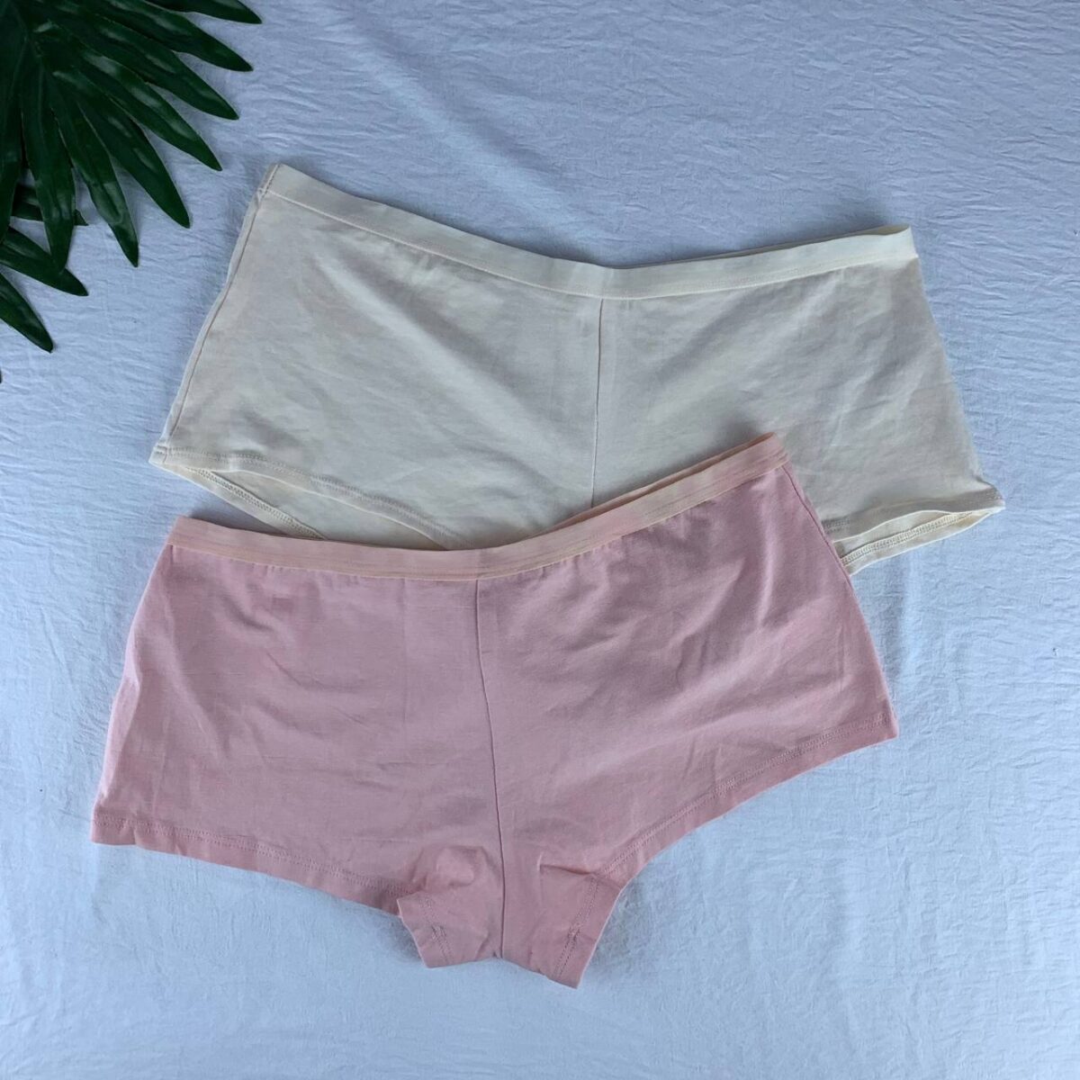 2 pack cotton panty set from splash  Size (14) - Image 1