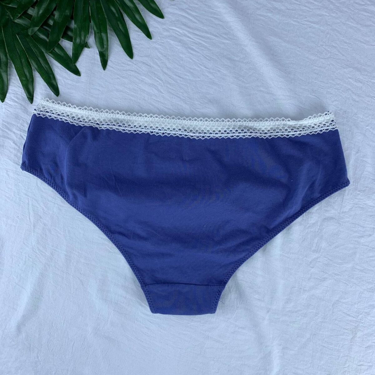 cotton panty from splash  Size (14) - Image 2