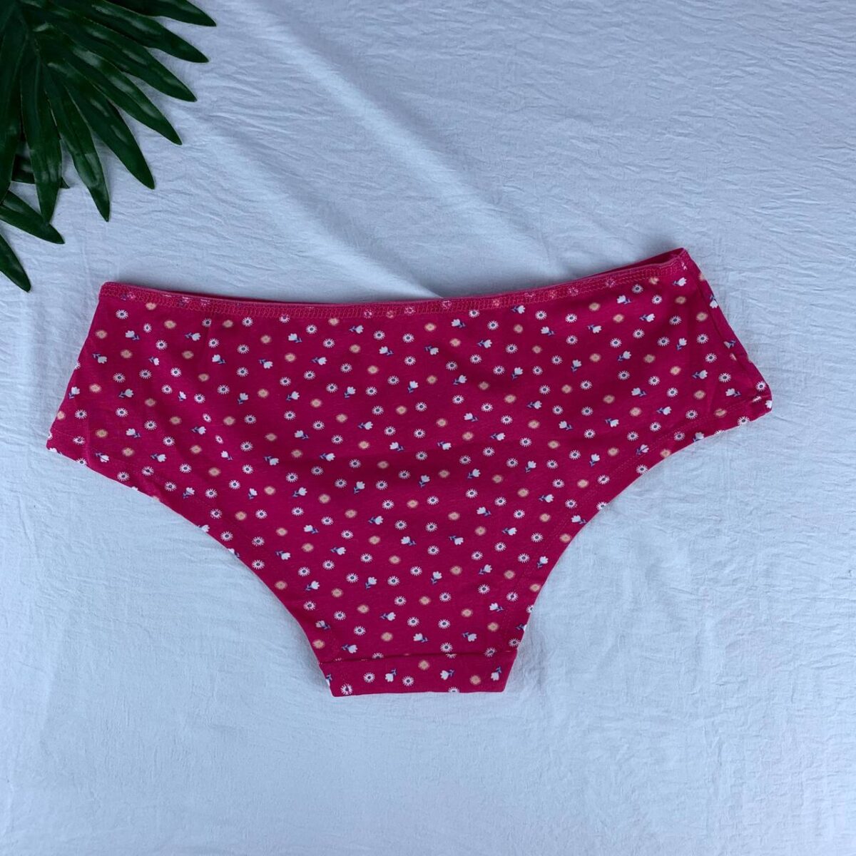 Cotton panty from splash - Image 6