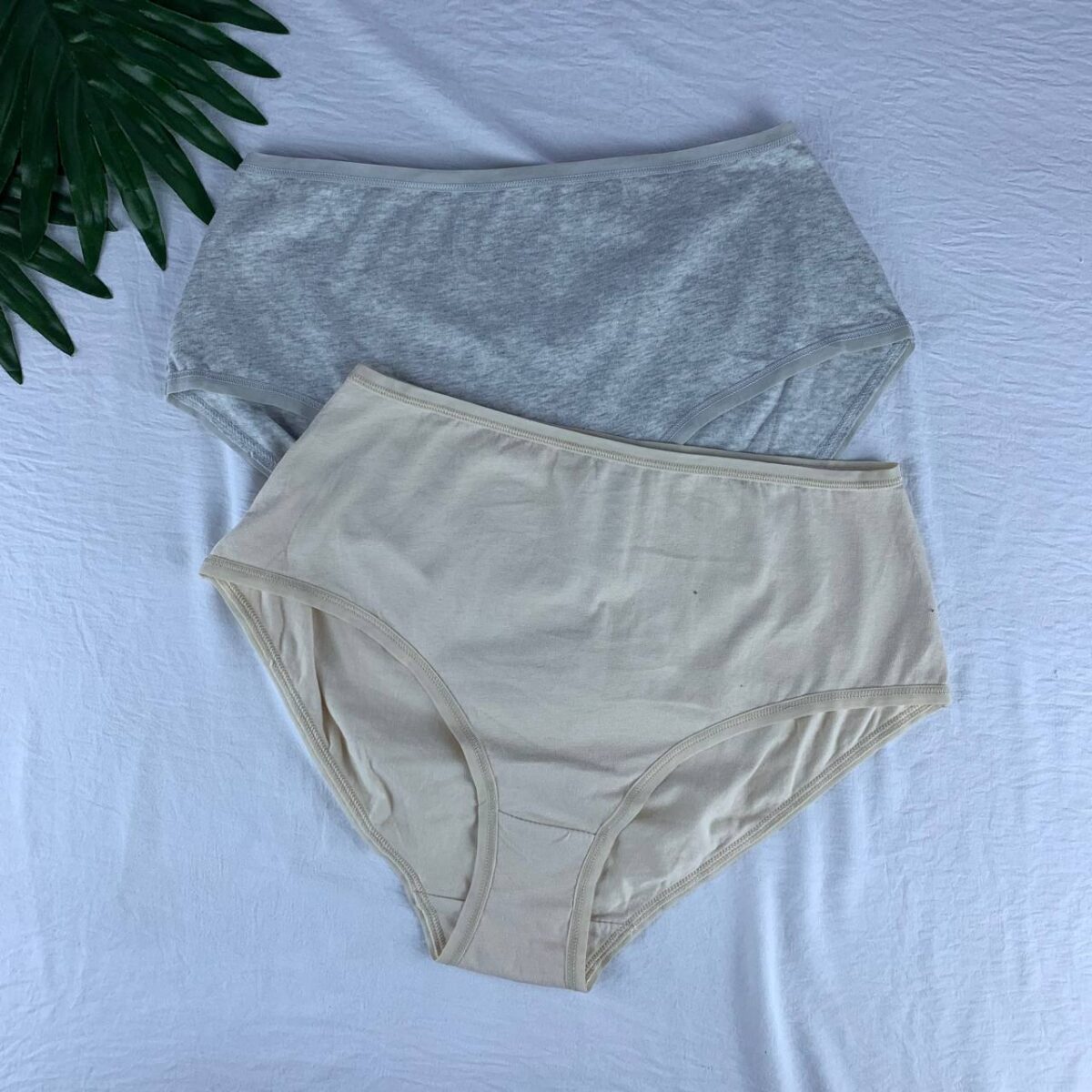 2 pack cotton panty set from esmara  Size (medium) - Image 1