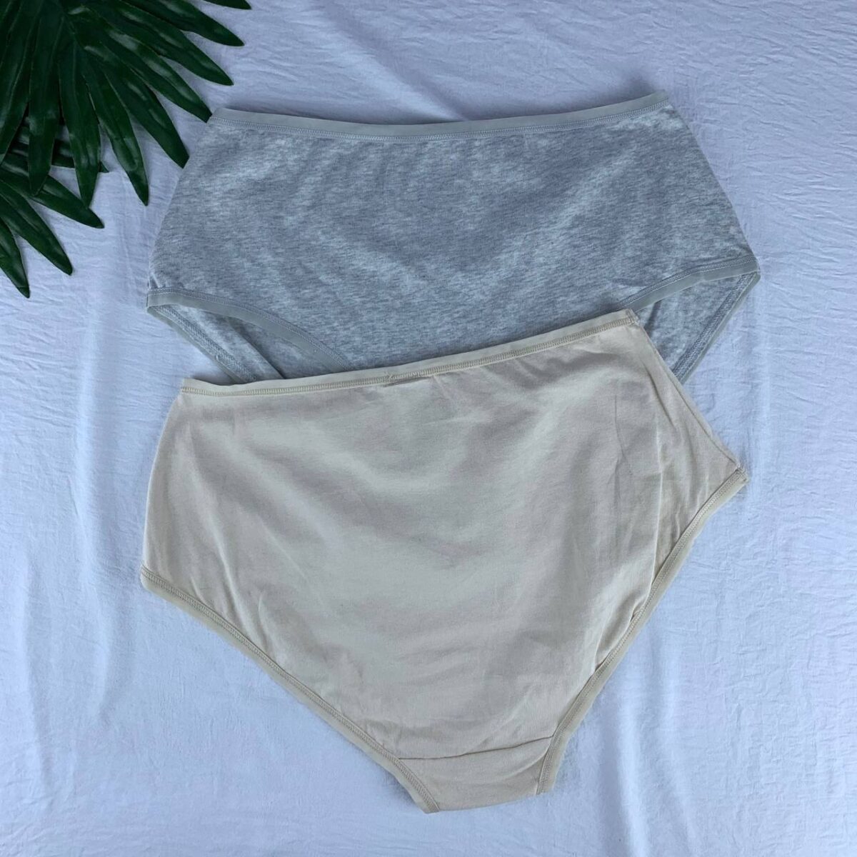 2 pack cotton panty set from esmara  Size (medium) - Image 2