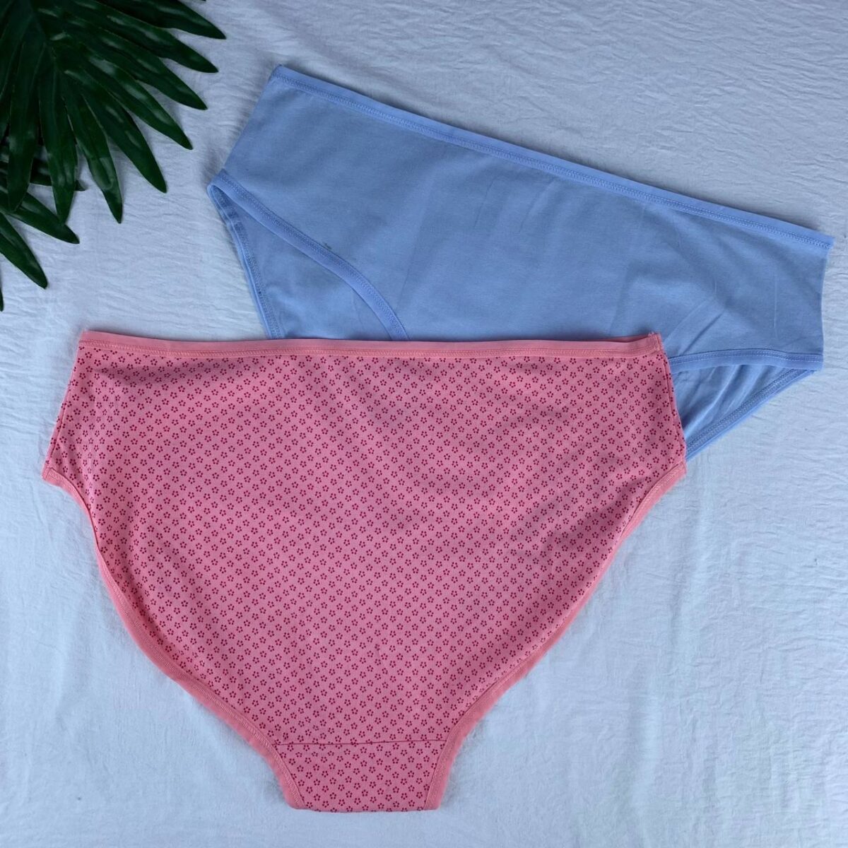 2 pack cotton panty set from esmara  Size (X-Large ) - Image 2