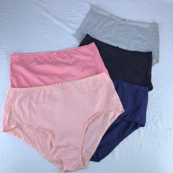 Cotton panty from splash