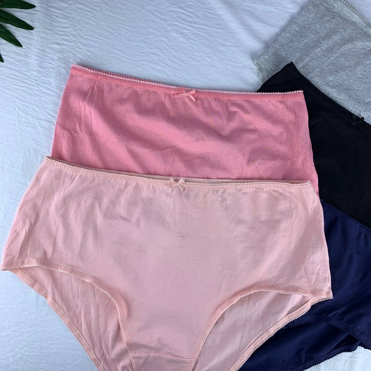 Cotton panty from splash - Image 3