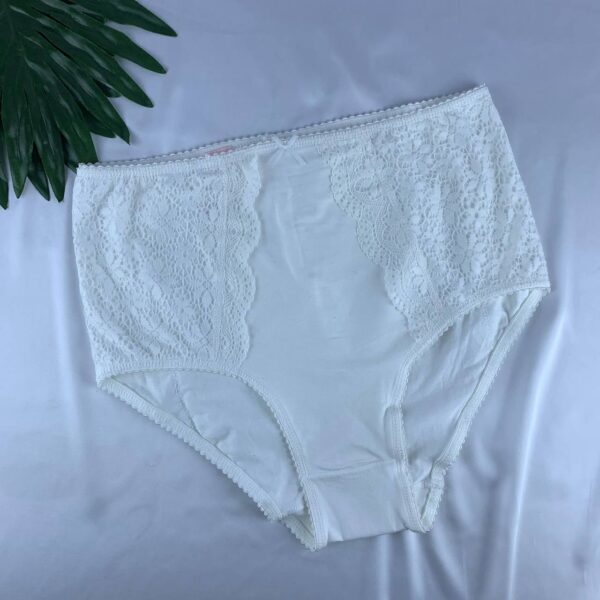 Panty corset from splash