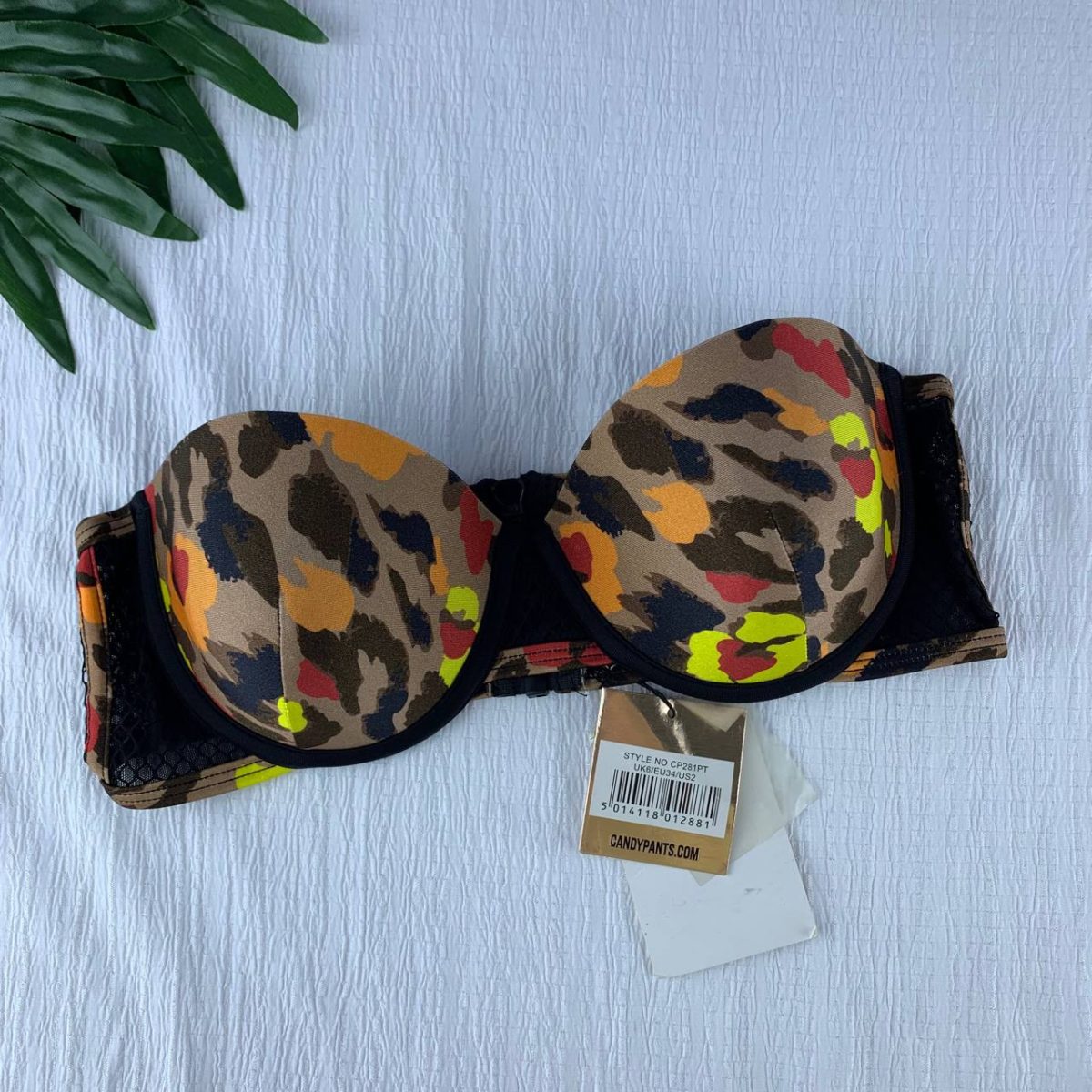 Wired padded bra from candy pants - Image 1