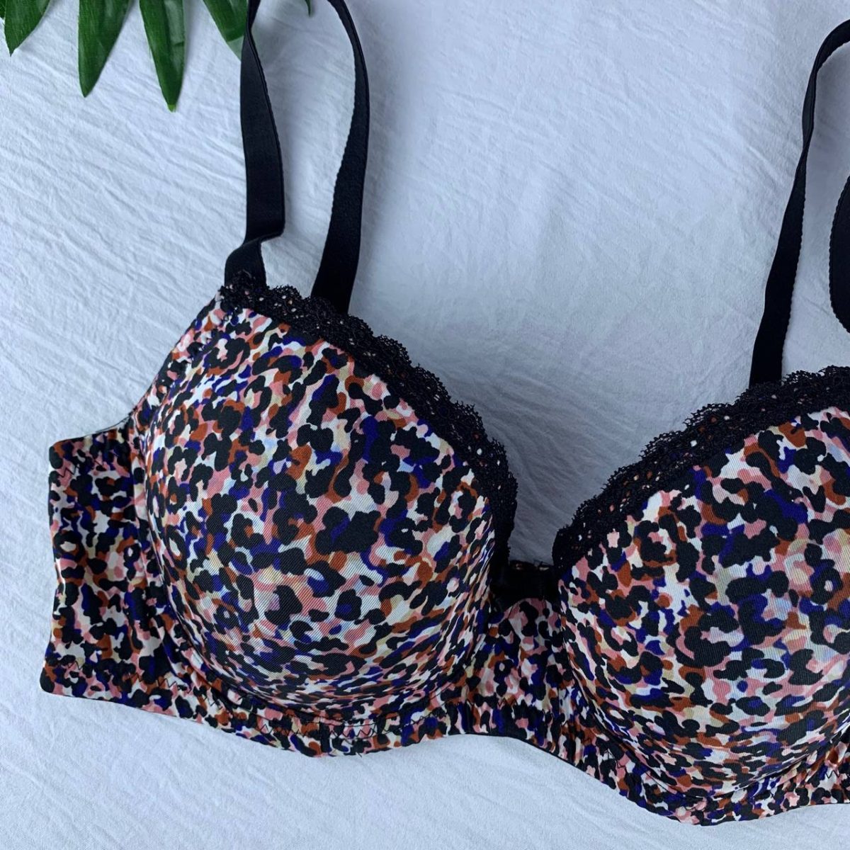 Wired padded bra from FPC - Image 3