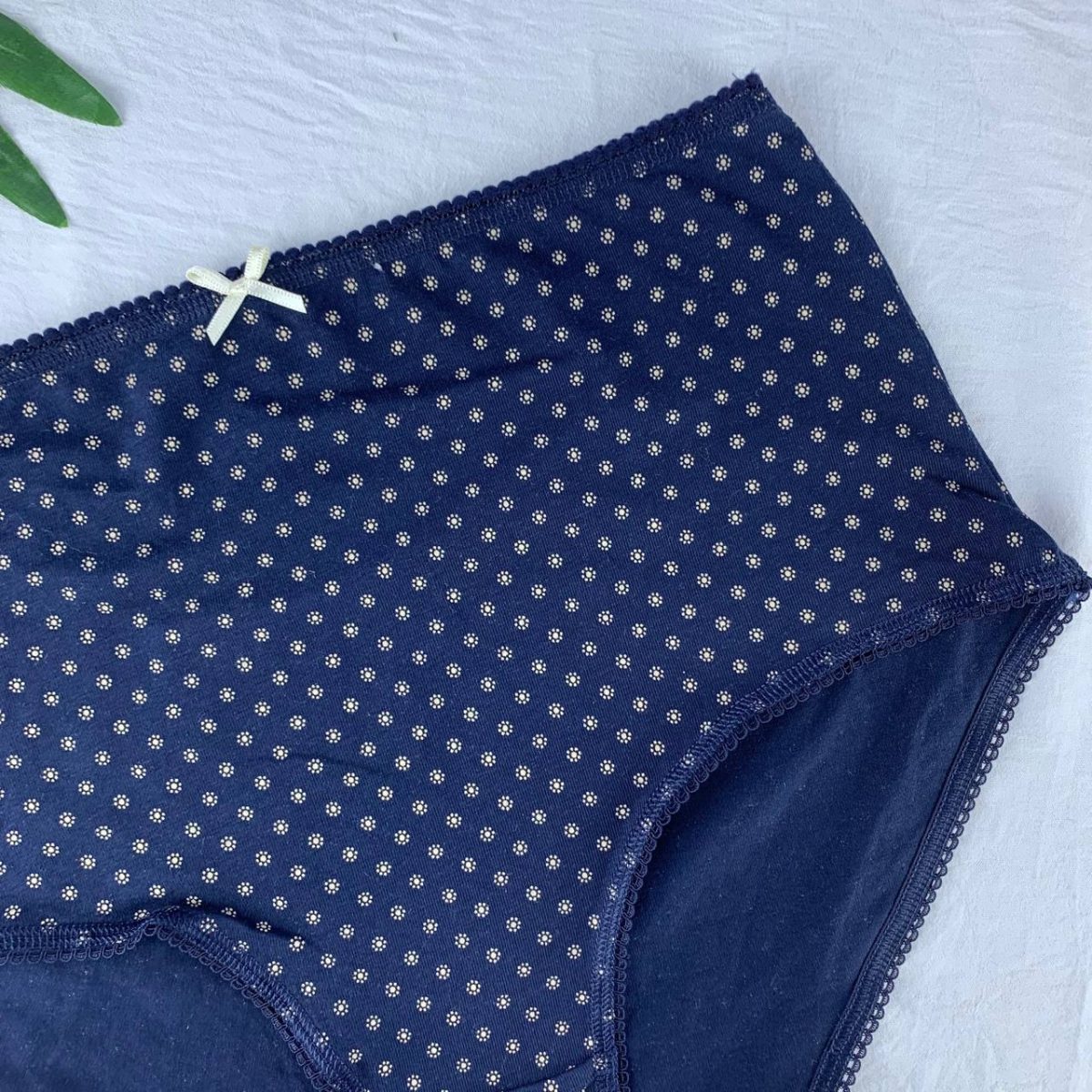 Cotton panty from splash - Image 3